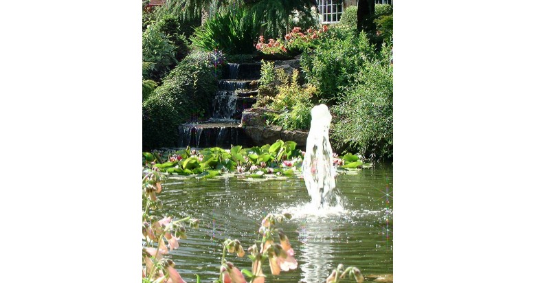 Wildlife / Nature Ponds Wildlife / Nature Ponds