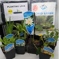 Wildlife Pond Starter Kit - #2