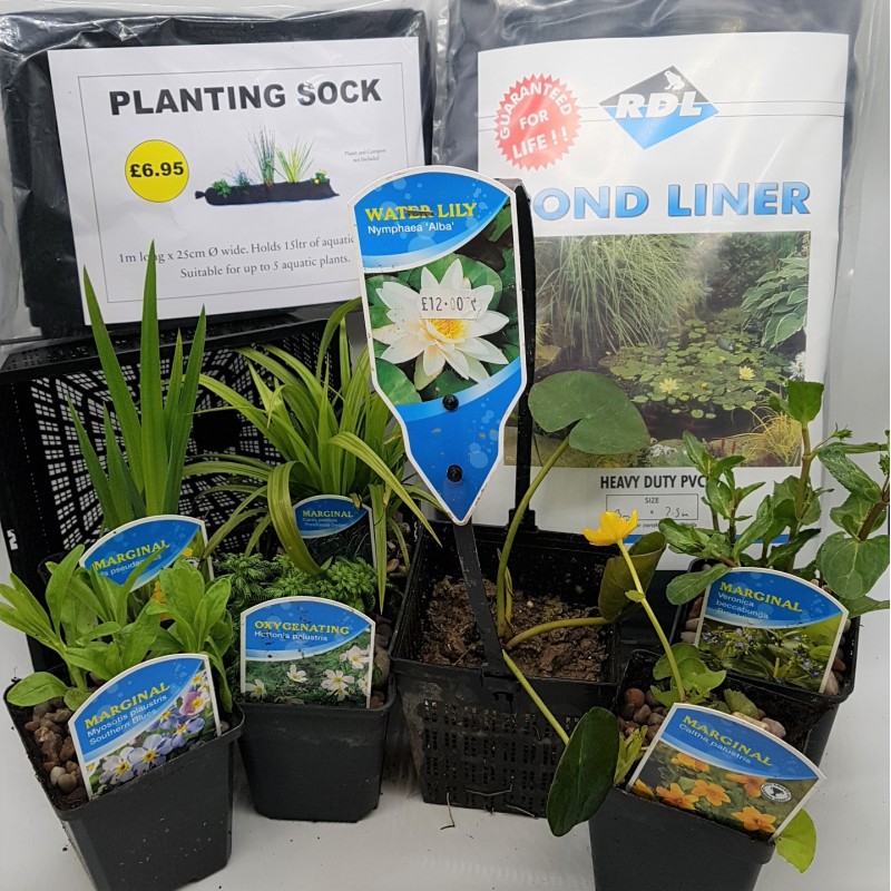 Wayside Water Gardens The North's Leading Water Garden Specialists