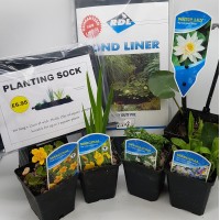 Wildlife Pond Starter Kit - #1