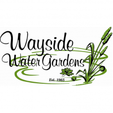 3m x 3m HD PVC Flexi Pond Liner 