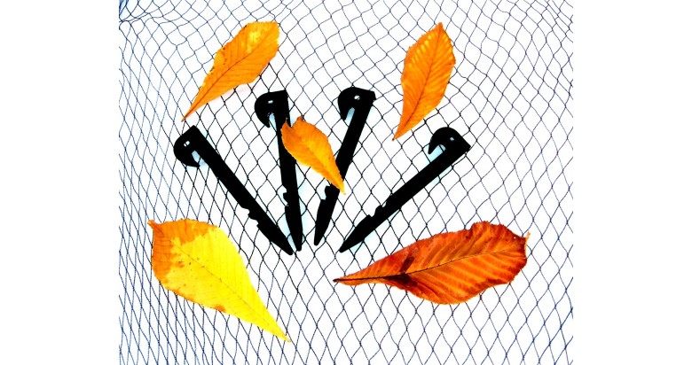 Net your pond against falling leaves Net your pond against falling leaves